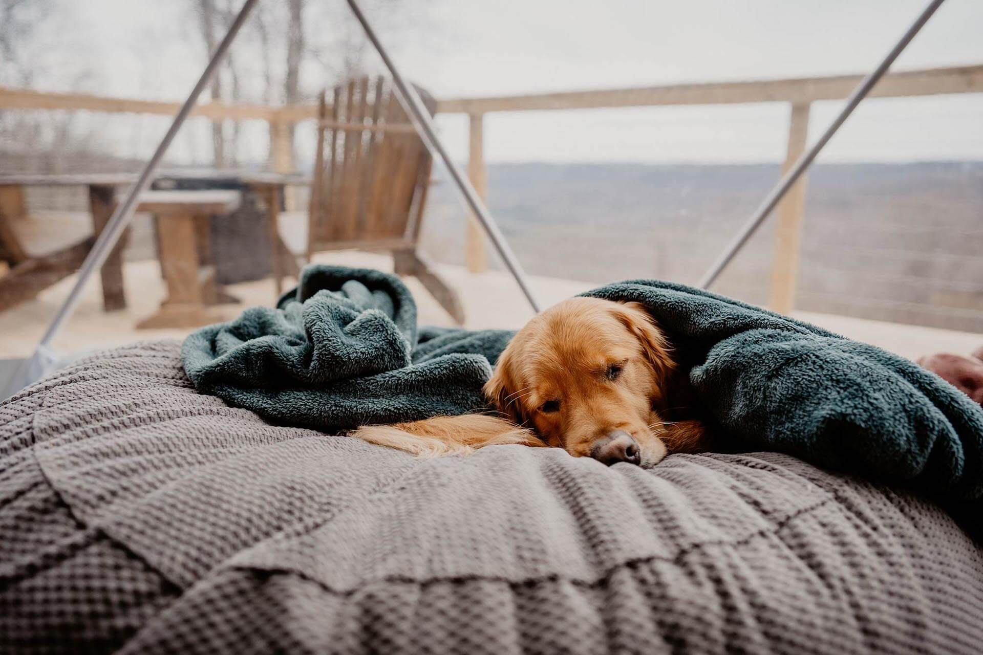 pet friendly glamping near nashville tennessee