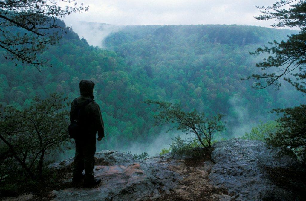 Fiery Gizzard Overlook