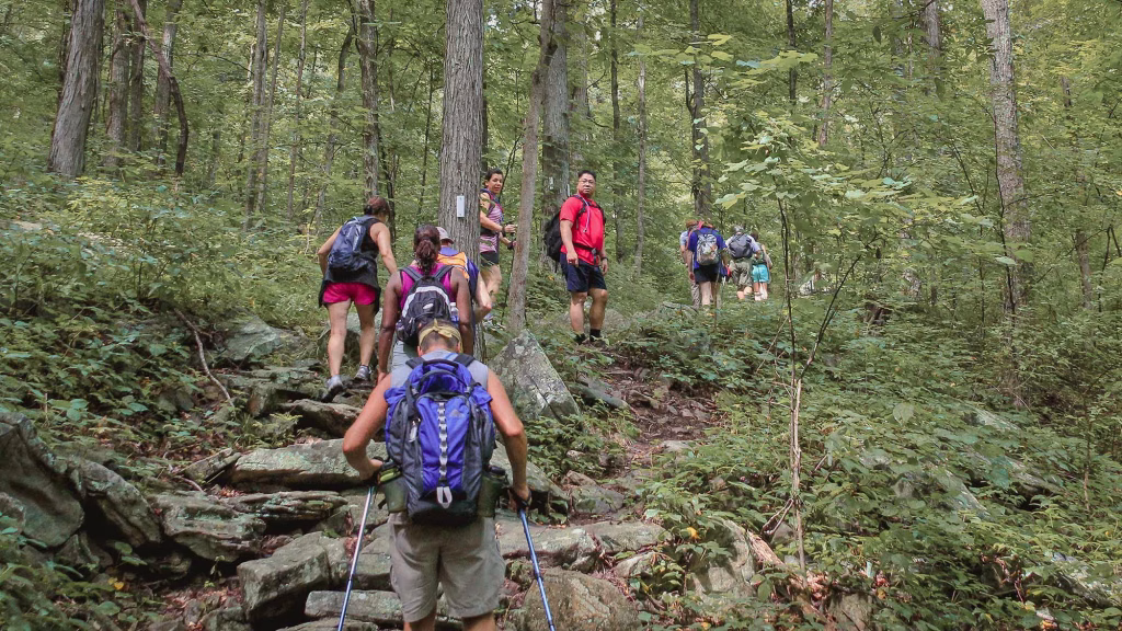 Greeter Falls hike Savage Gulf TN