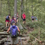 Best Short Hikes in Savage Gulf That Still Deliver Big Views
