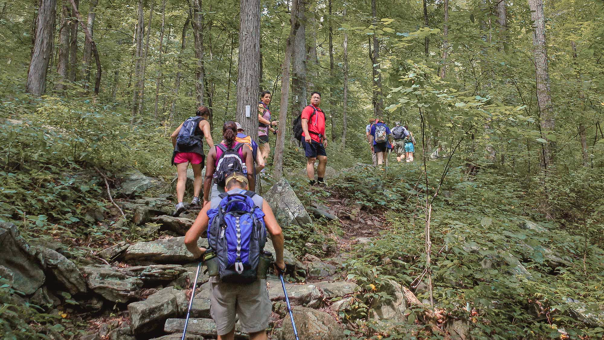 Greeter Falls hike Savage Gulf TN