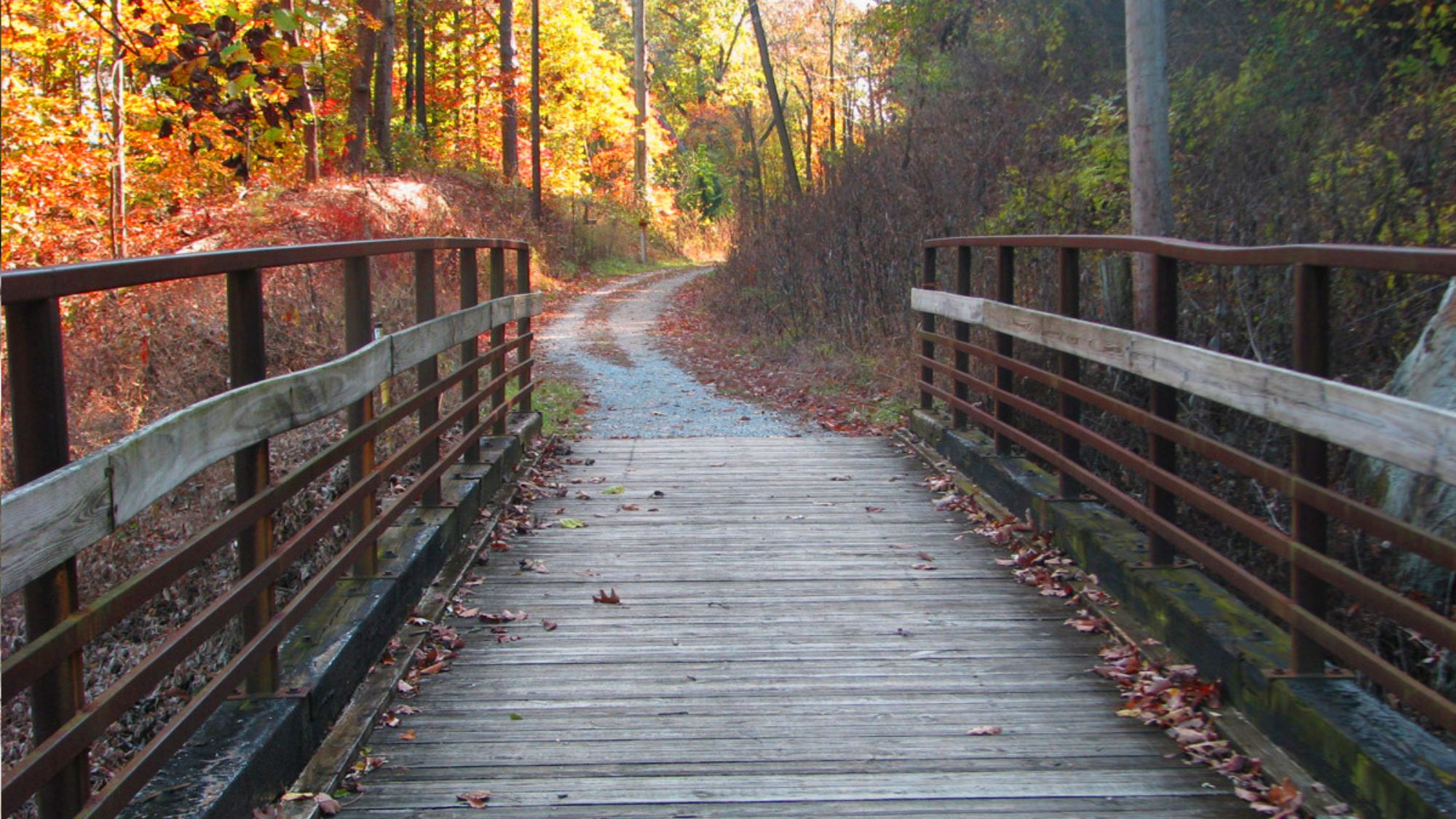 Wooden footbridge on family-friendly hiking trail near Chattanooga